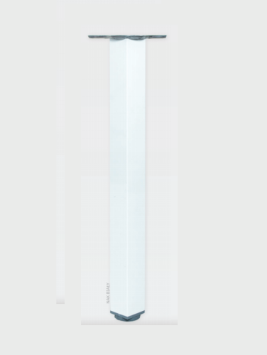 noga biała.png